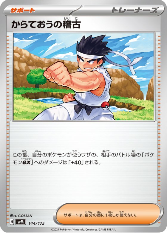 Black Belt's Training (144/175)