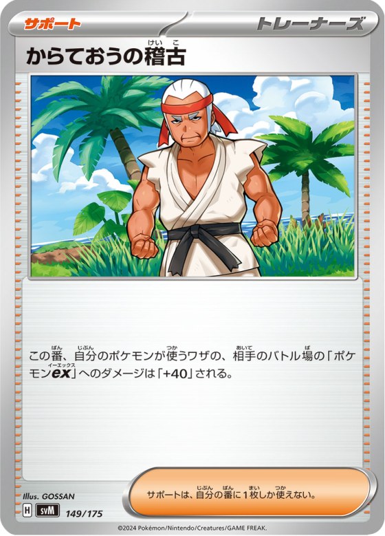 Black Belt's Training (149/175)