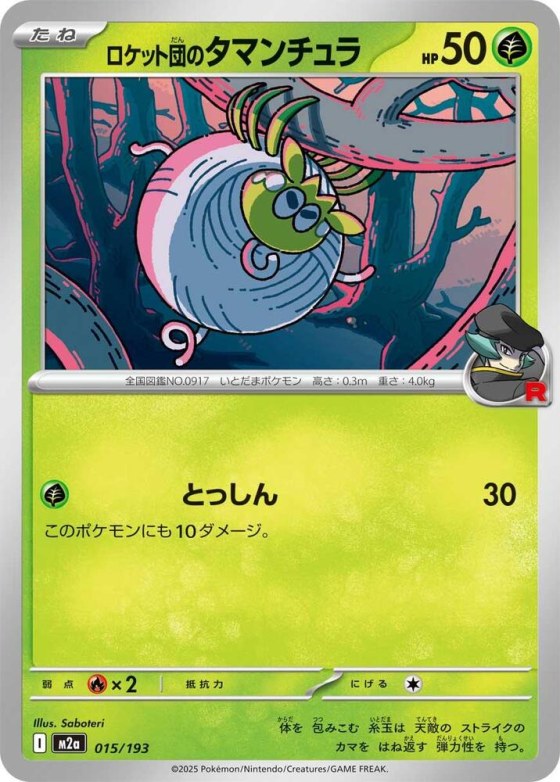Team Rocket's Tarountula - Team Rocket Pattern
