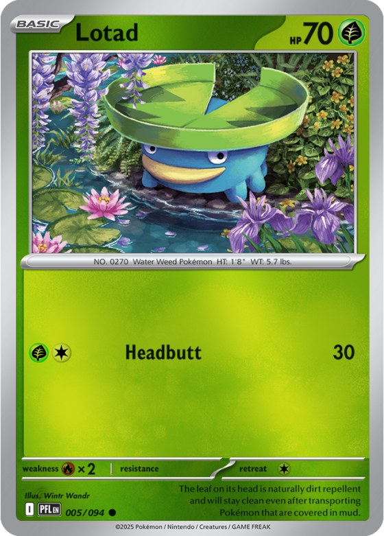 Lotad - Reverse Holo