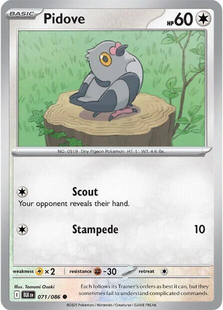 Pidove - Reverse Holo