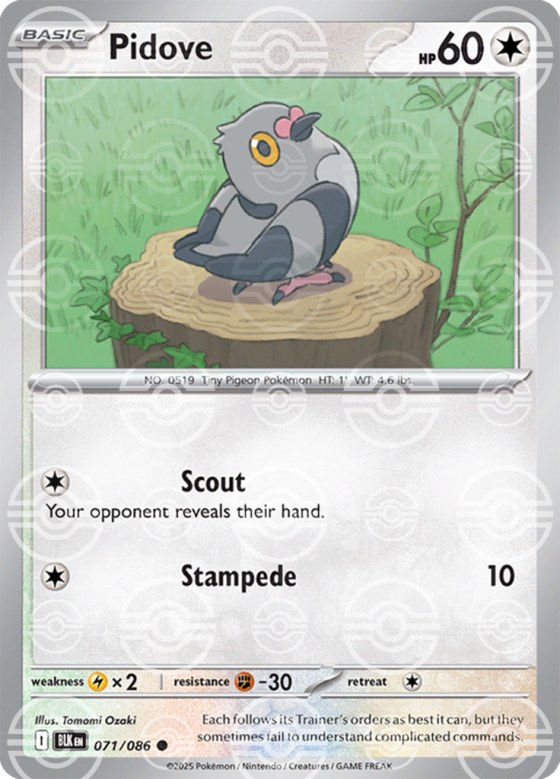 Pidove - Poke Ball Pattern