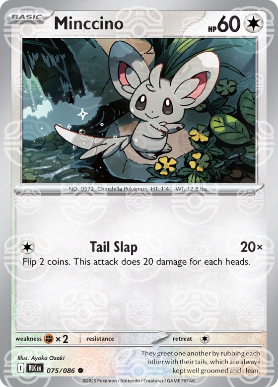 Minccino - Master Ball Pattern