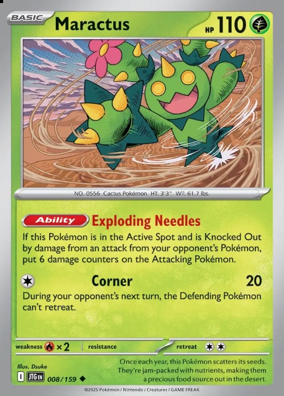 Maractus