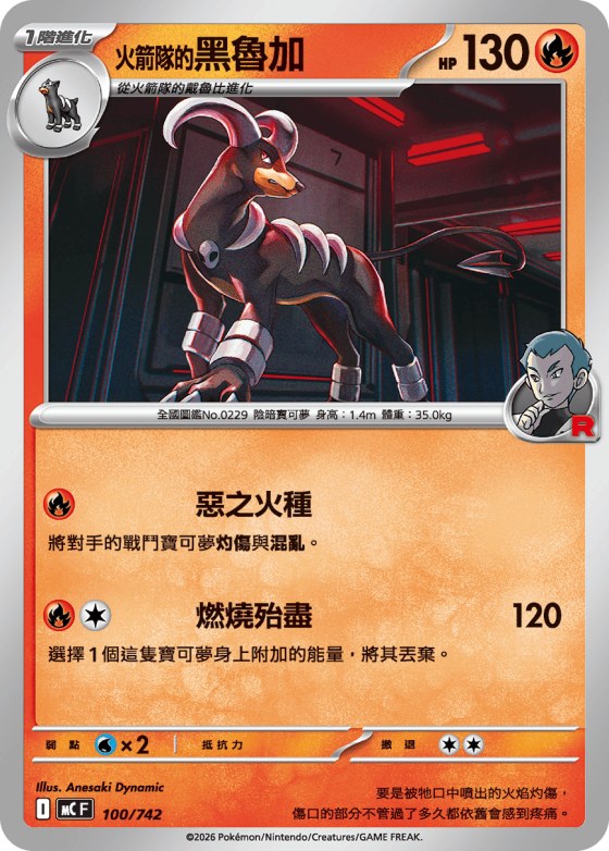 Team Rocket's Houndoom
