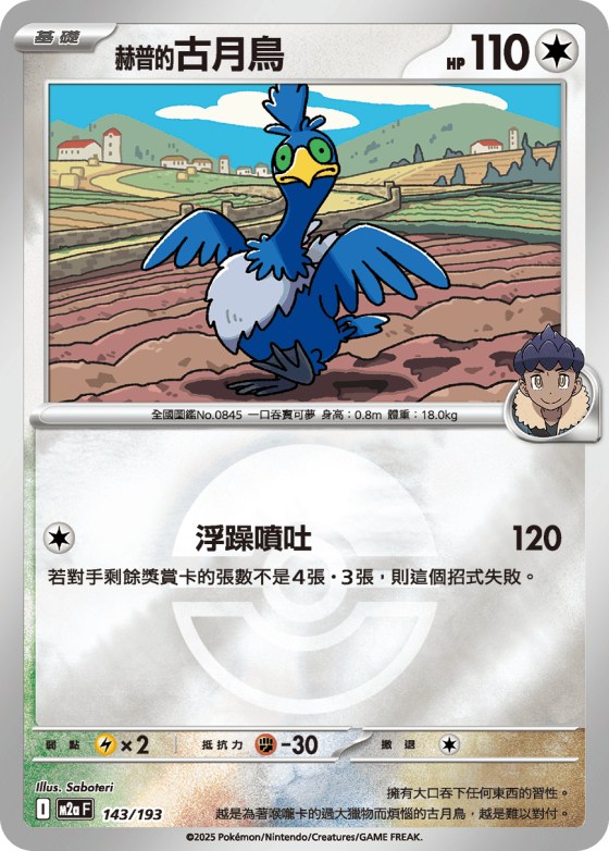 Hop's Cramorant - Poke Ball Pattern