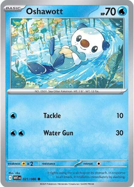 Oshawott - Reverse Holo