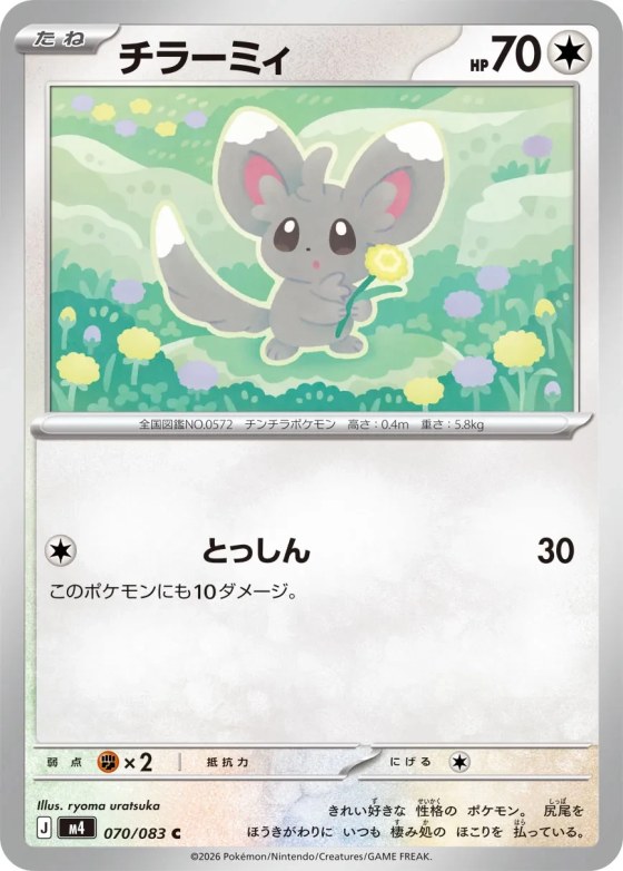 Minccino