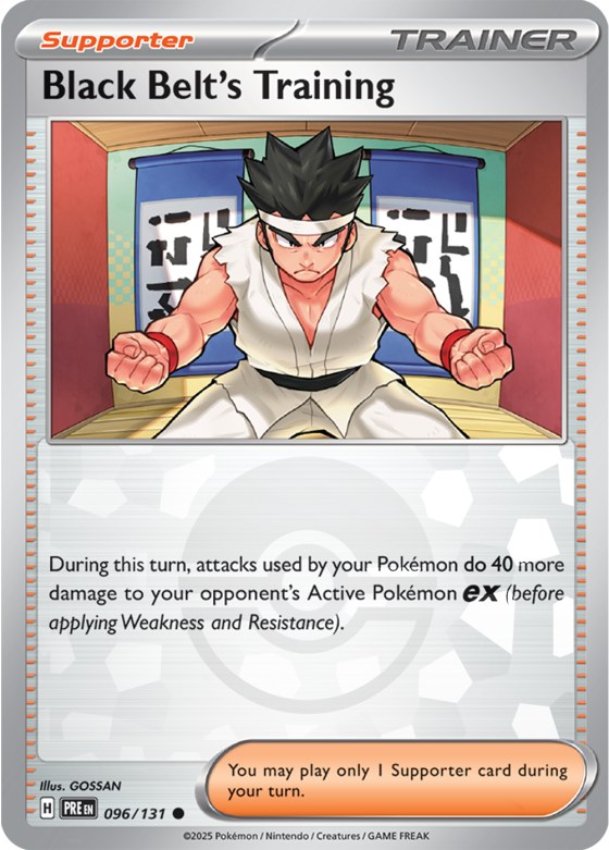 Black Belt's Training - Poke Ball Pattern