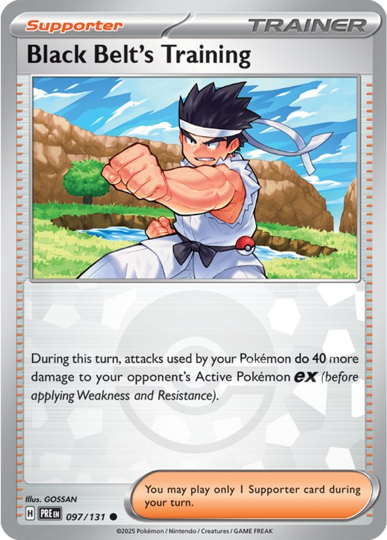Black Belt's Training - Poke Ball Pattern