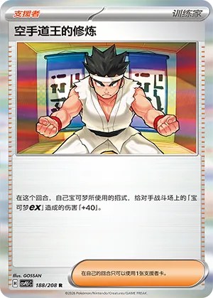 Black Belt's Training - Holo