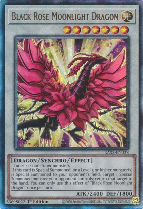 Black Rose Moonlight Dragon - Pur