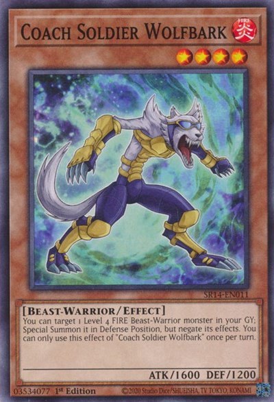 Coach Soldier Wolfbark - Unlimited