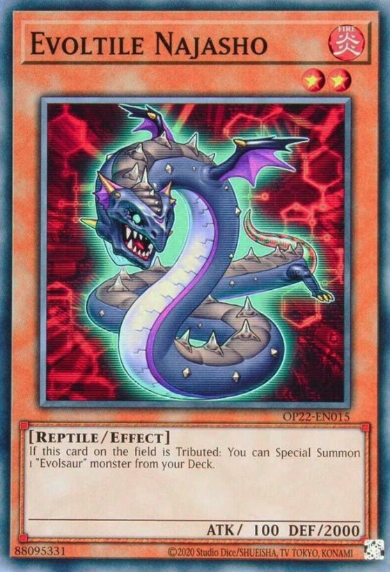 Evoltile Najasho