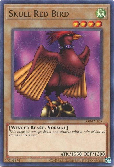 Skull Red Bird