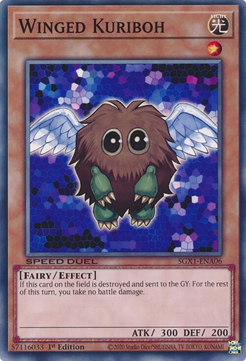 Winged Kuriboh - 1st Edition
