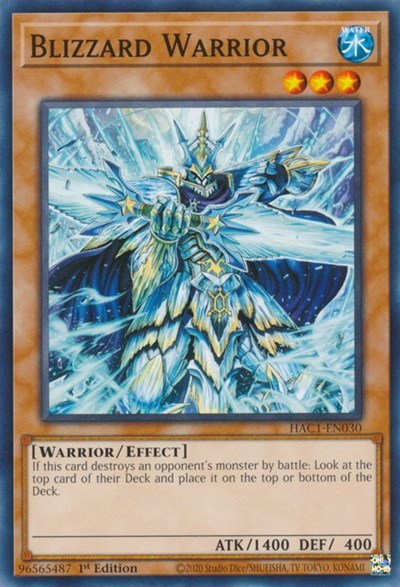 Blizzard Warrior - 1st Edition