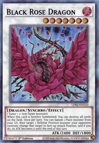 Black Rose Dragon - Blue