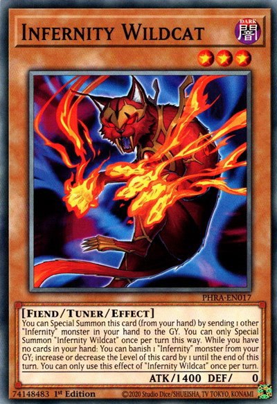 Infernity Wildcat