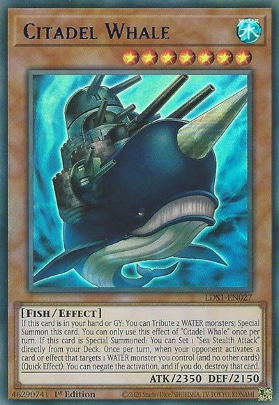 Citadel Whale - Blue