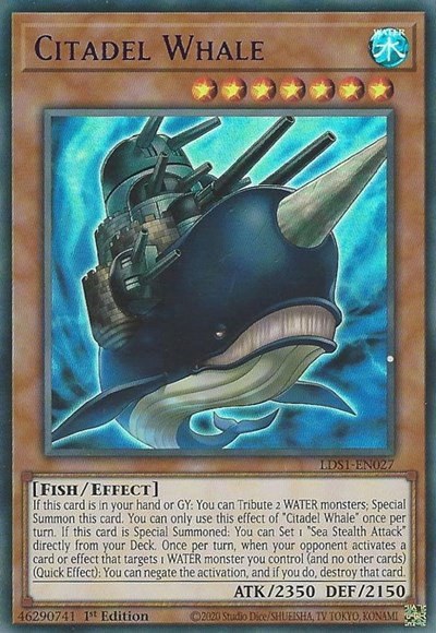 Citadel Whale - Purple