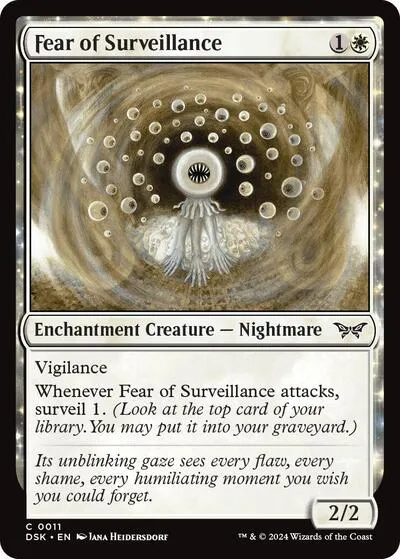 Fear of Surveillance - Normal Fear Of Surveillance