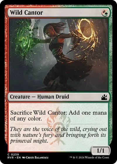 Wild Cantor - Foil