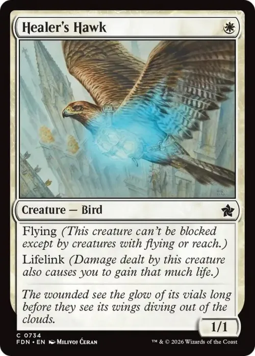 Healer's Hawk