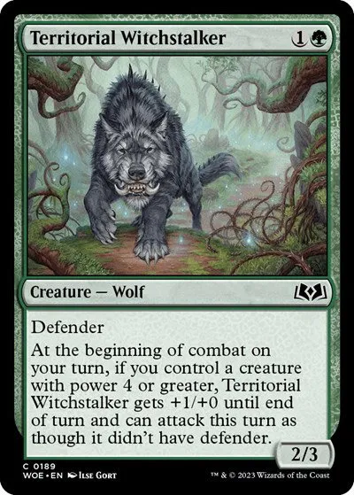 Territorial Witchstalker - Foil