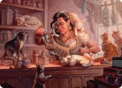 Cat Collector Art Card