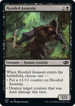 Hooded Assassin