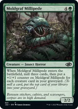 Moldgraf Millipede