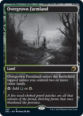 Overgrown Farmland