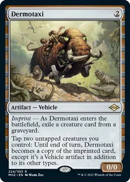 Dermotaxi - Foil