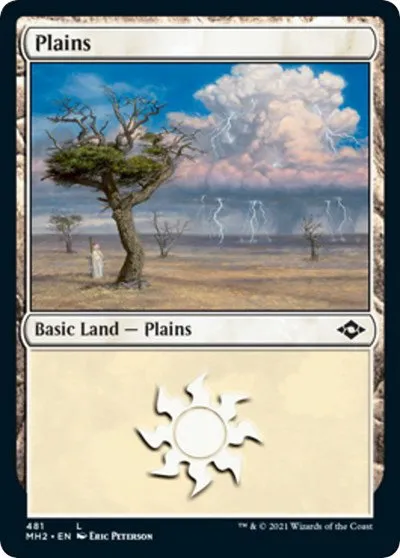 Plains
