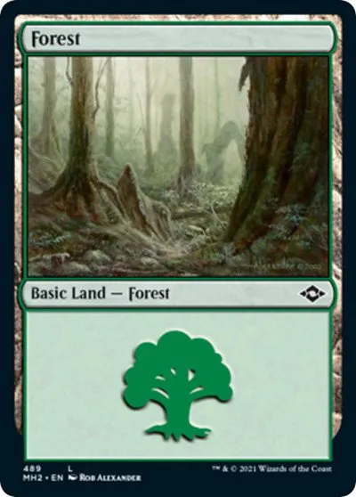 Forest - Foil