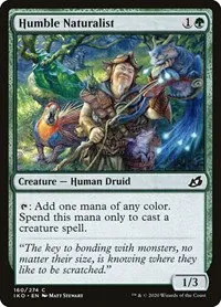 Humble Naturalist - Foil