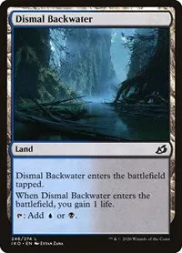 Dismal Backwater - Foil