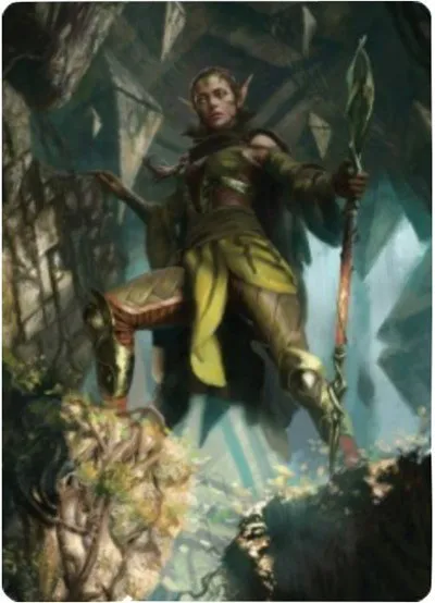 Nissa of Shadowed Boughs Art Card