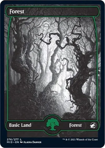 Forest - Foil
