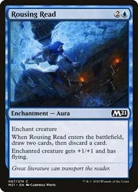 Rousing Read - Foil