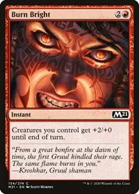 Burn Bright - Foil