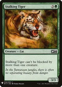 Stalking Tiger - Normal Stalking Tiger