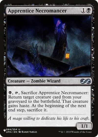 Apprentice Necromancer - Normal Apprentice Necromancer