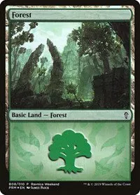 Forest - Gruul - B08