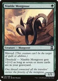 Nimble Mongoose - Normal Nimble Mongoose