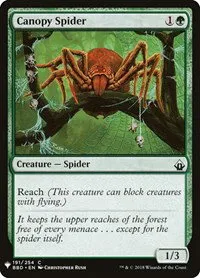 Canopy Spider - Normal Canopy Spider