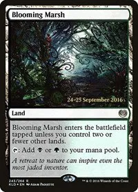 Blooming Marsh - Kld