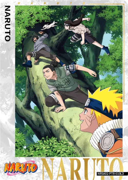 Naruto, Shikamaru, Neji & Kiba