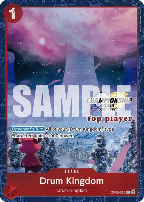 Drum Kingdom - Championship 2024 Top Player P